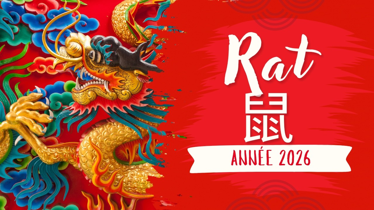 Astrologie Chinoise 2026 Prévisions pour le RAT 🎏⛩️✨✨
