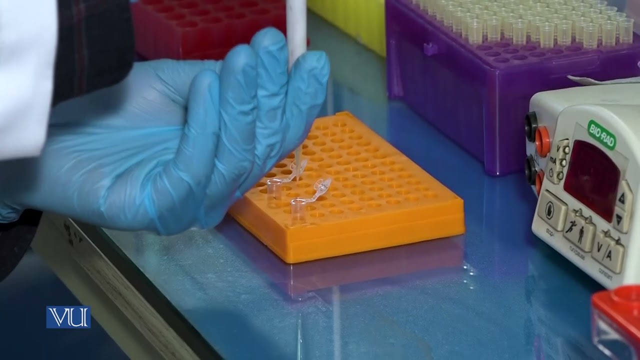 Gel Electrophoresis | Molecular Biology (Practical) | MB502P_Topic005