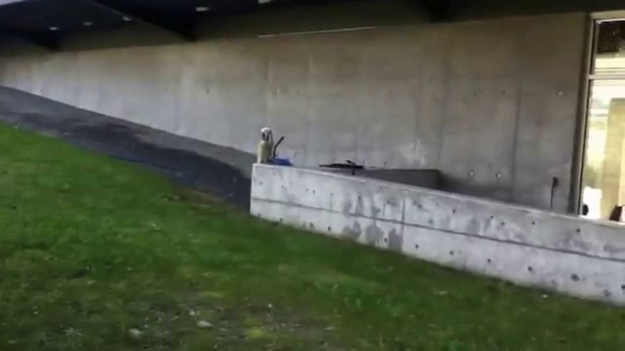 Water Fed Poling