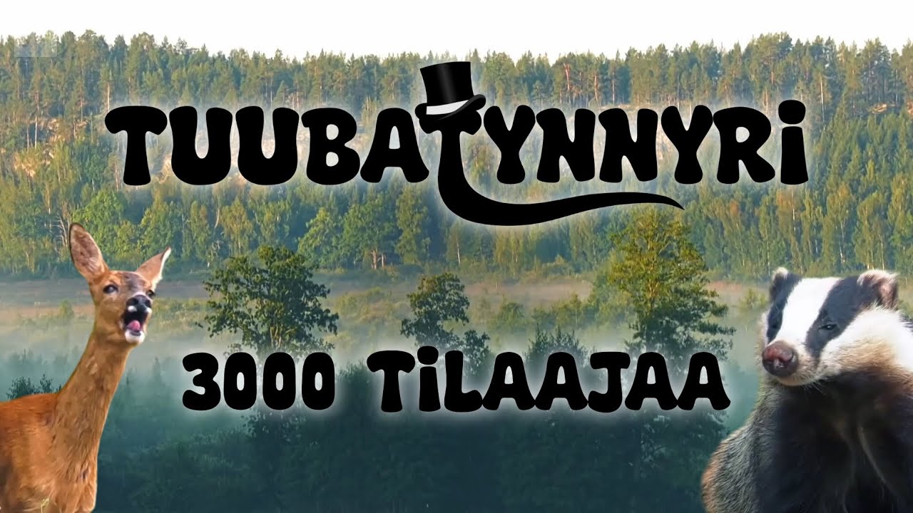 STP - 3000:n tilaajan dokumentti
