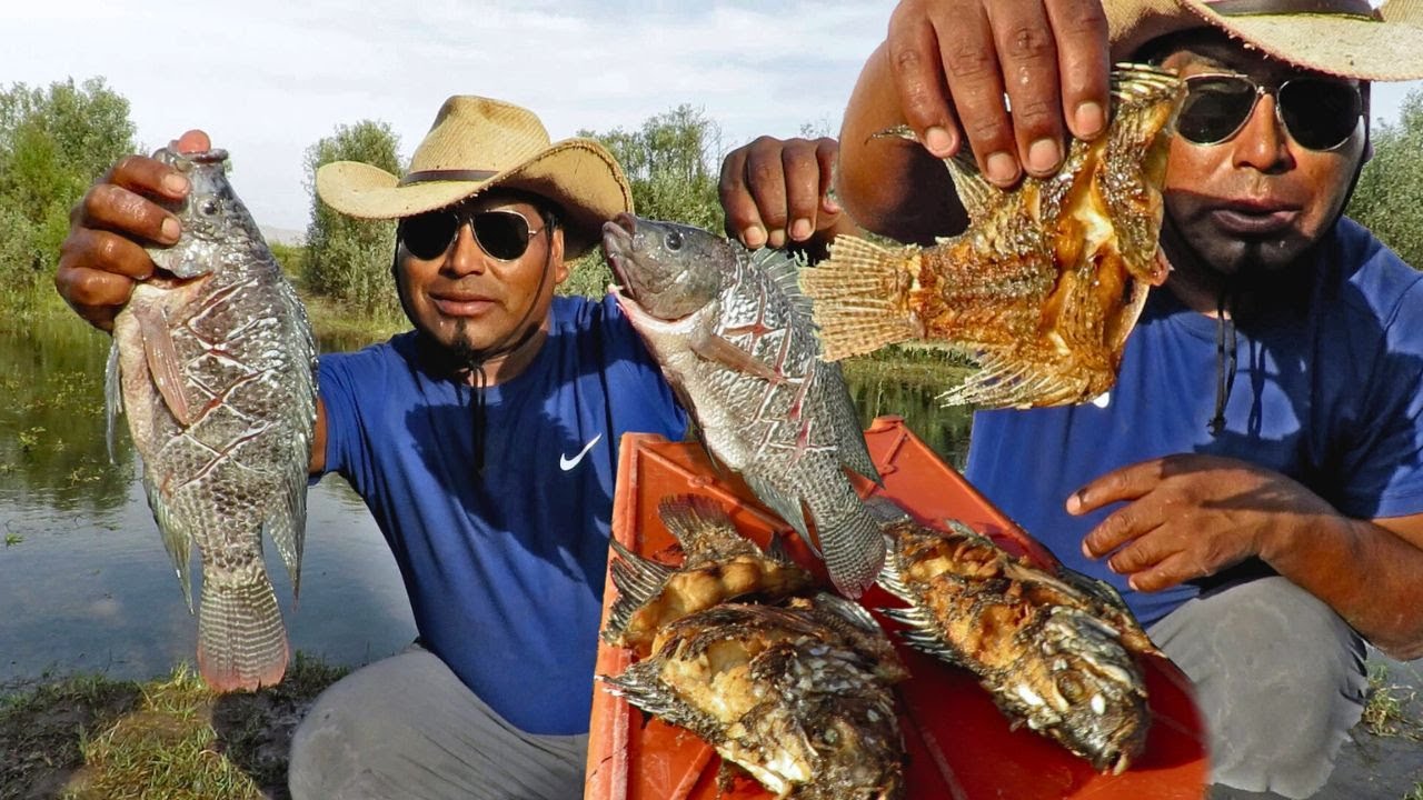 PESCADOR atrapa con ATARRAYA las TILAPIAS para Cocinar su Almuerzo