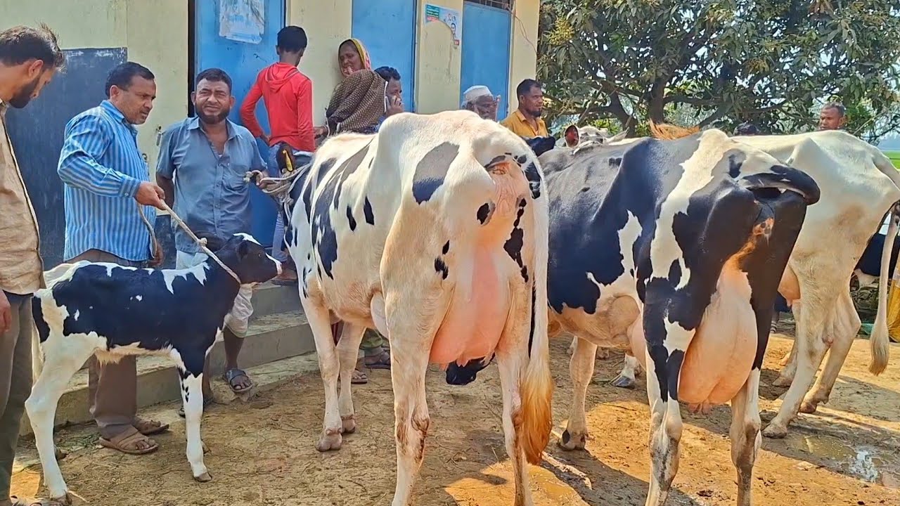 @আজ ২৩ ফেব্রুয়ারি