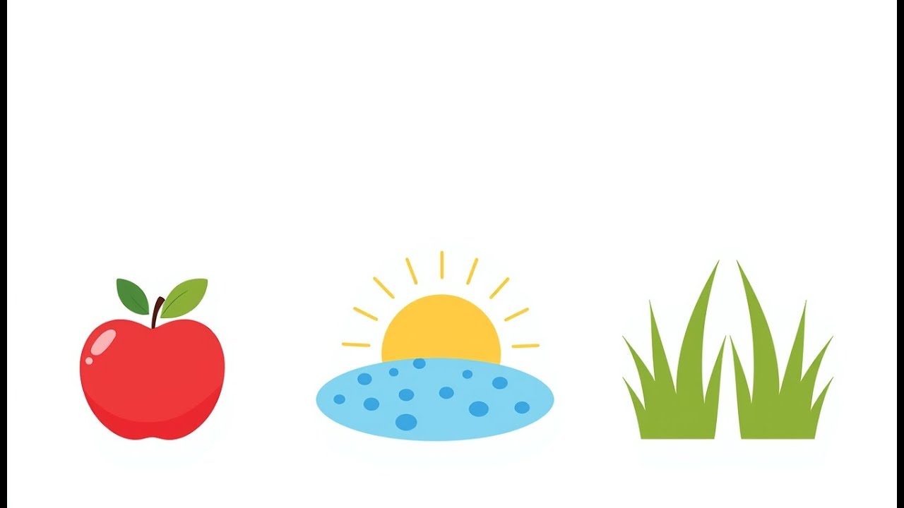 Learning Colors Together | Calm Educational Story for Kids