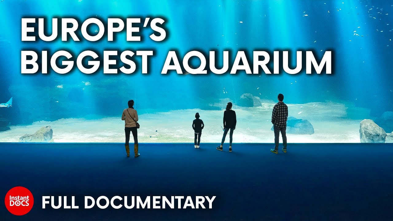 Aquarium Megastructure: Nausicaa | FULL DOCUMENTARY