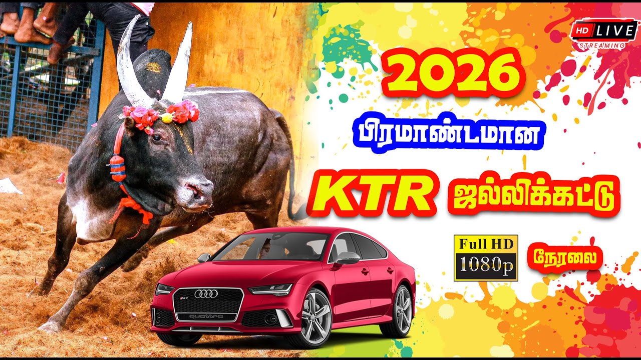 🔴 Live | KTR ஜல்லிக்கட்டு நேரலை  / Sivagangai - KTR Jallikattu Live