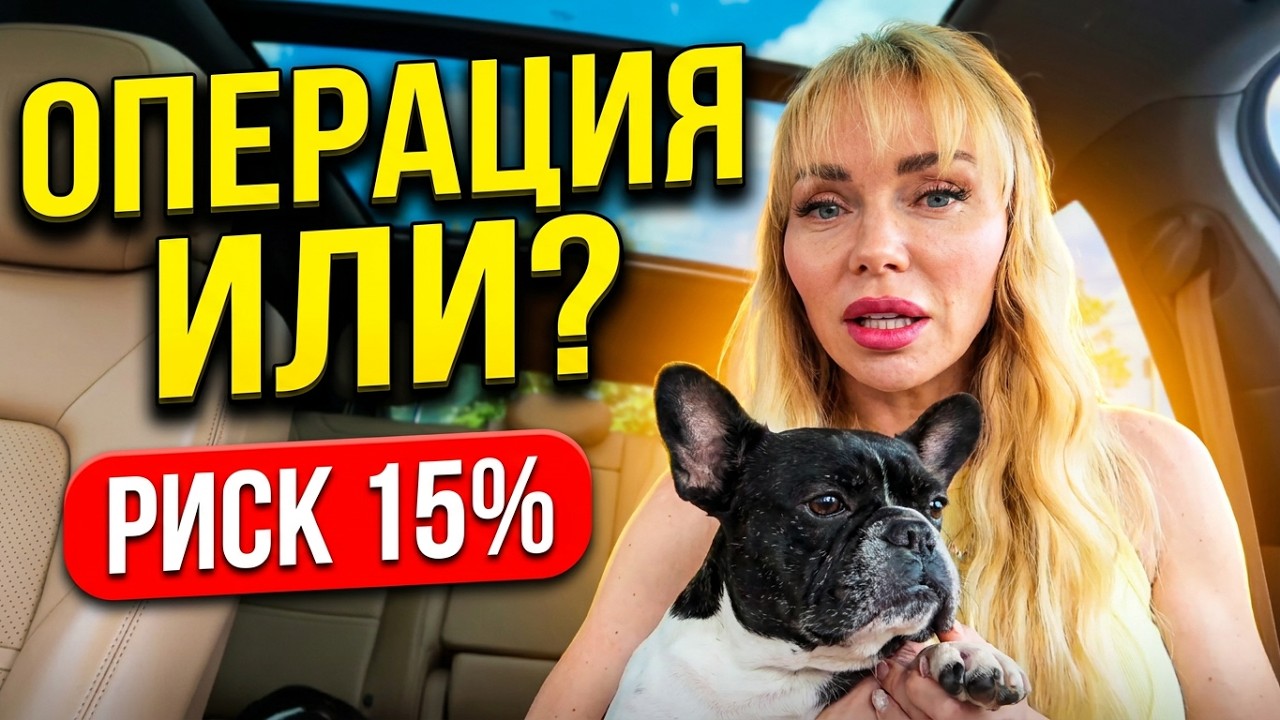 200 000₽ ЗА СОБАКУ? Цена вопроса, риск операции и стоматология по-умному