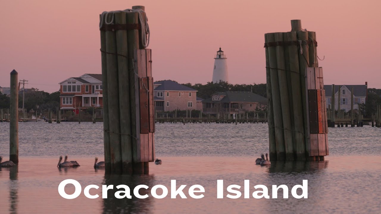 The Amazing Wildlife on Ocracoke Island | North Carolina, Naturally