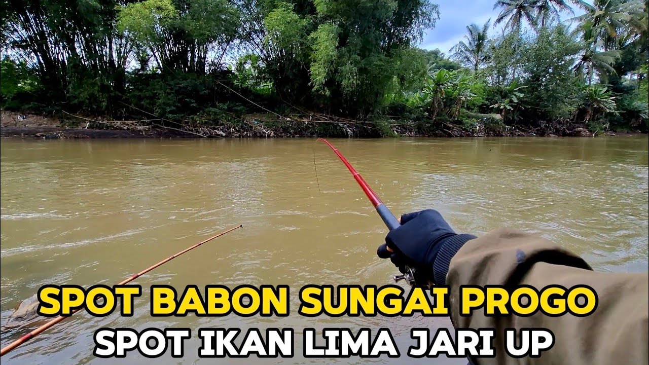 RUTE SPOT  SUNGAI PROGO KEDUNG NDOWO‼️ ISINYA BABON LIMA JARI AN..
