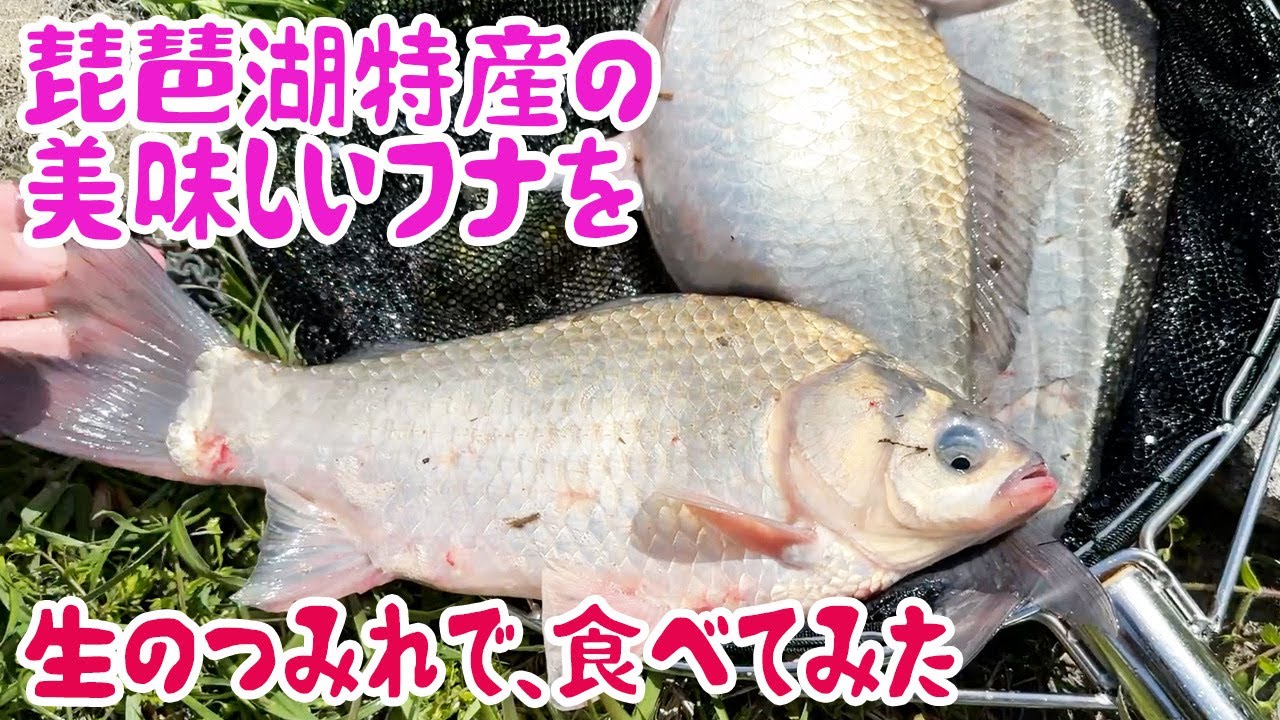 琵琶湖特産の美味しいフナを生のつみれで食べてみた