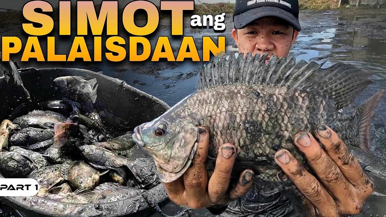 P1-SIMOT ANG LAMAN NG PALAISDAAN - EP1249