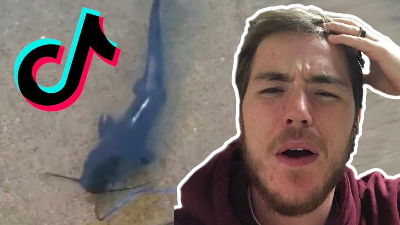 Fish Biologist reacts to TERRIBLE Fish Tik Toks