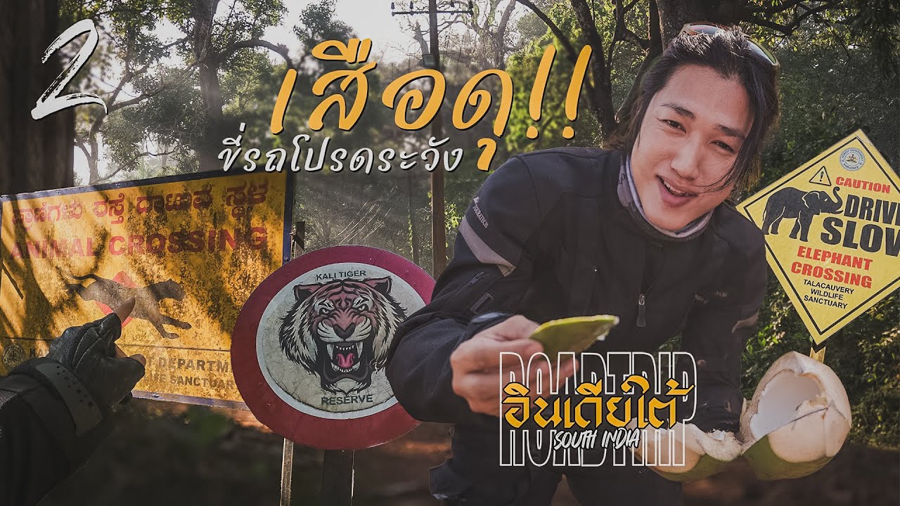 Gaijin ขี่รถในอินเดียระวังเสือดุ SOUTH INDIA EP2