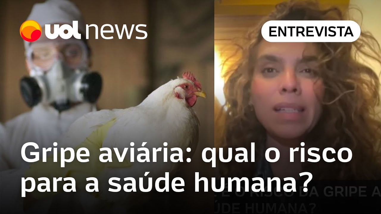 Gripe aviária não é comum em humanos; transmissão é por contato com ave infectada; entenda riscos