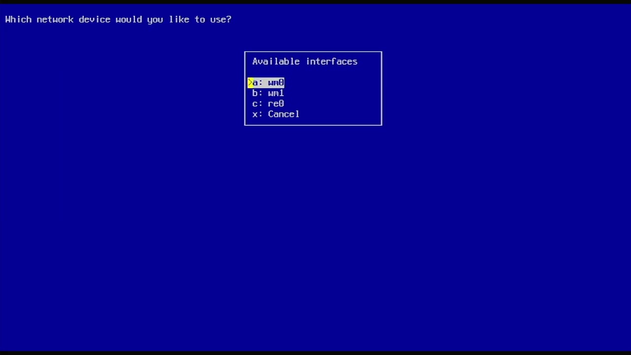 Установка NetBSD 10.1 (amd64)
