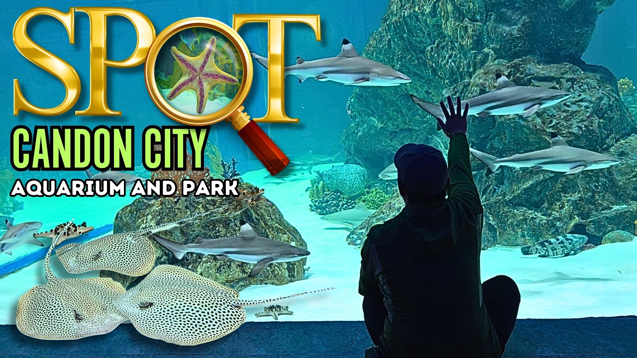 🐠 Candon City Aquarium & Park Tour | Ilocos Sur’s First Ocean Park Marine Life