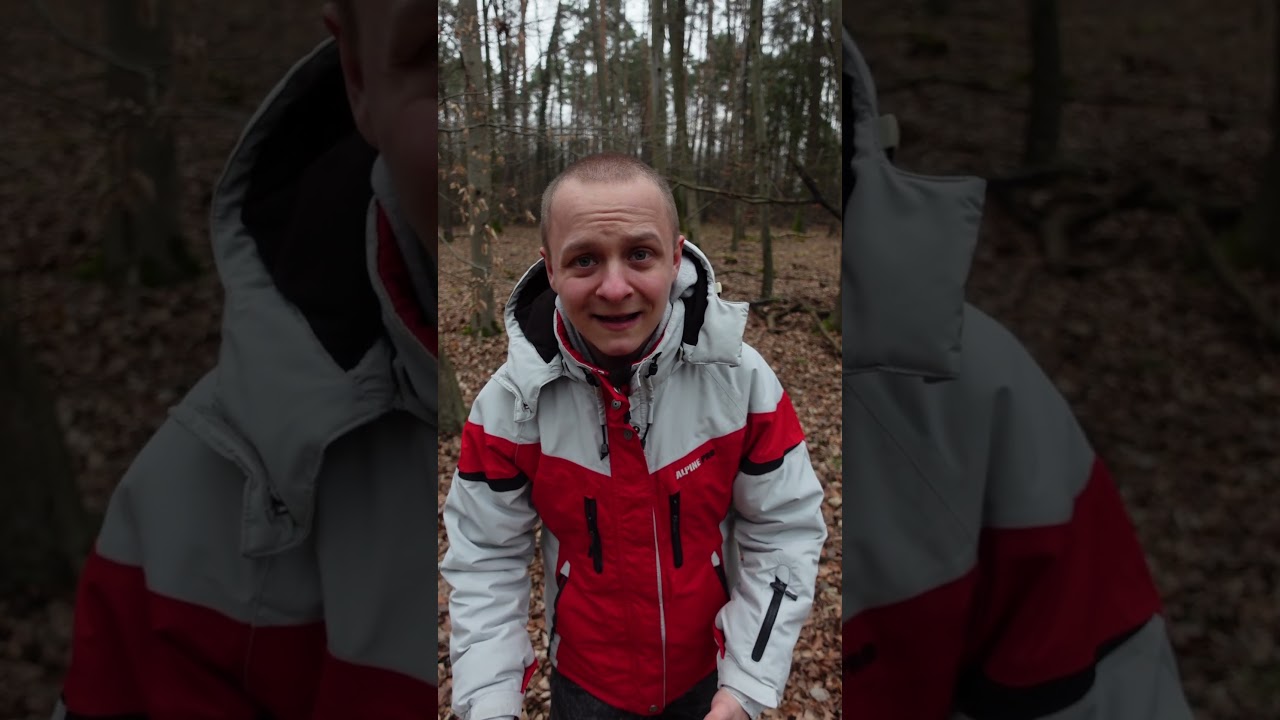 CZAGA, Błyskoporek podkorowy (łac. Inonotus obliquus) - grzyb leczniczy