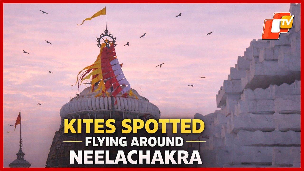 Unusual Scene At Puri Srimandir As Kites Spotted Flying Around Neelachakra | OTV