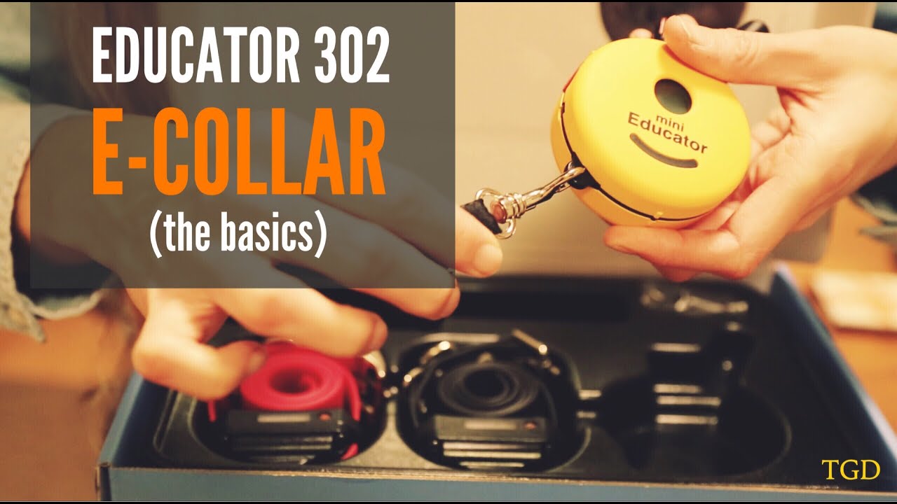 Электронный ошейник E-Collar Technologies Educator Mini Double Dog 302 Set Up