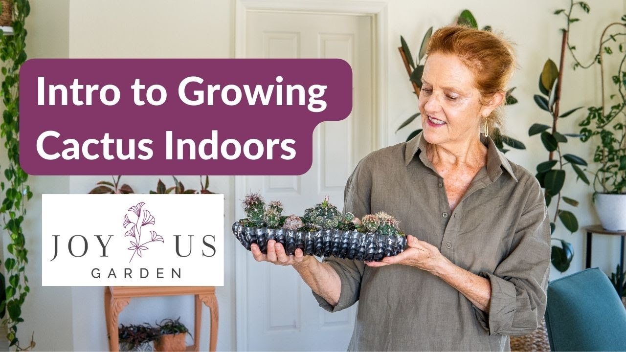 GROWING CACTUS INDOORS: AN INTRO TO THE SERIES/JoyUsGarden