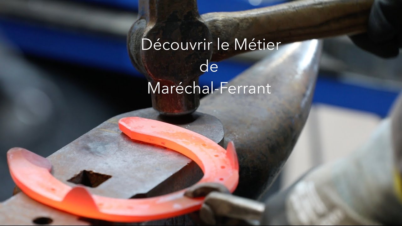 Découvrir le métier de Maréchal-ferrant