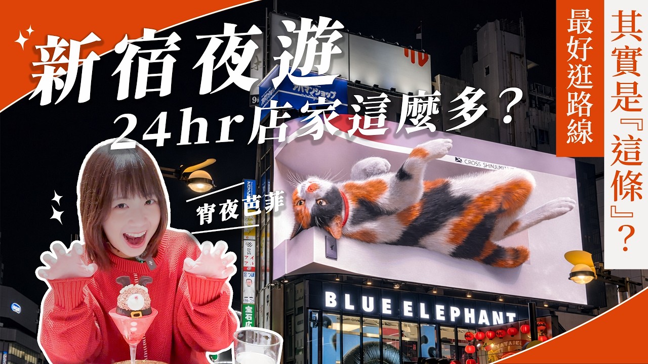 出國不睡覺！東京新宿夜晚景點推薦🍻 東京都廳展望台、唐吉訶德、黃金街、夜芭菲、Vowz Bar、新宿車站周邊｜日本旅遊・東京自由行・吉田社長Japan TV