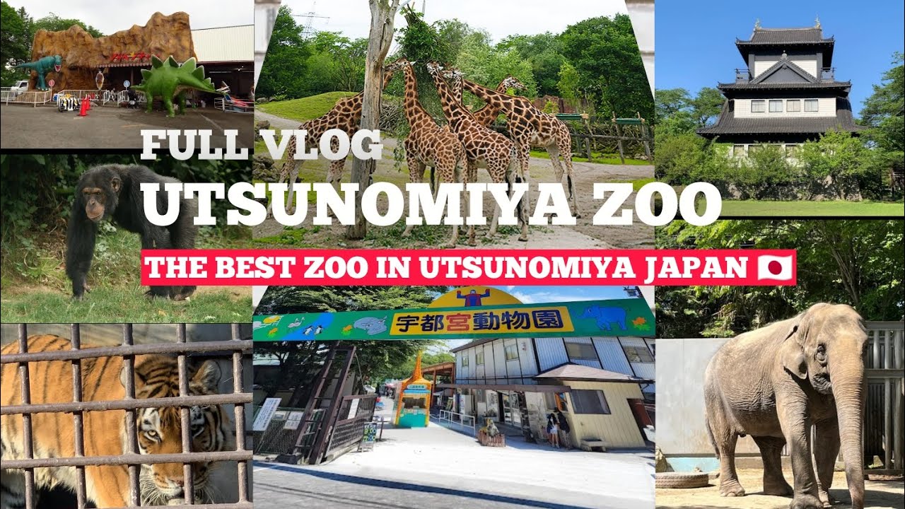 UTSUNOMIYA ZOO | FULL VLOG | The Best ZOO in Utsunomiya  Tochigi Japan 🇯🇵🇳🇵😱😍