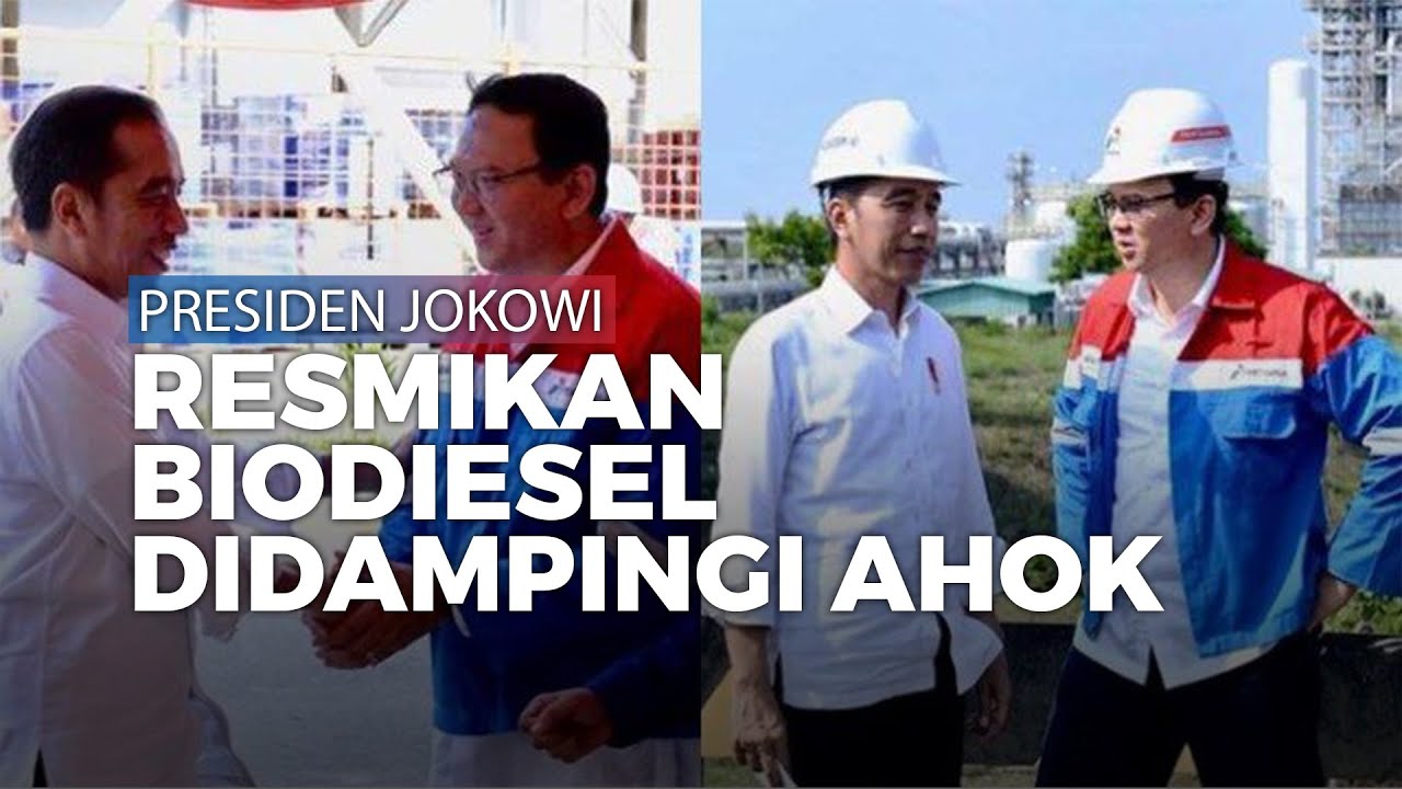 Presiden Jokowi Resmikan Biodiesel Campuran Sawit Didampingi Ahok