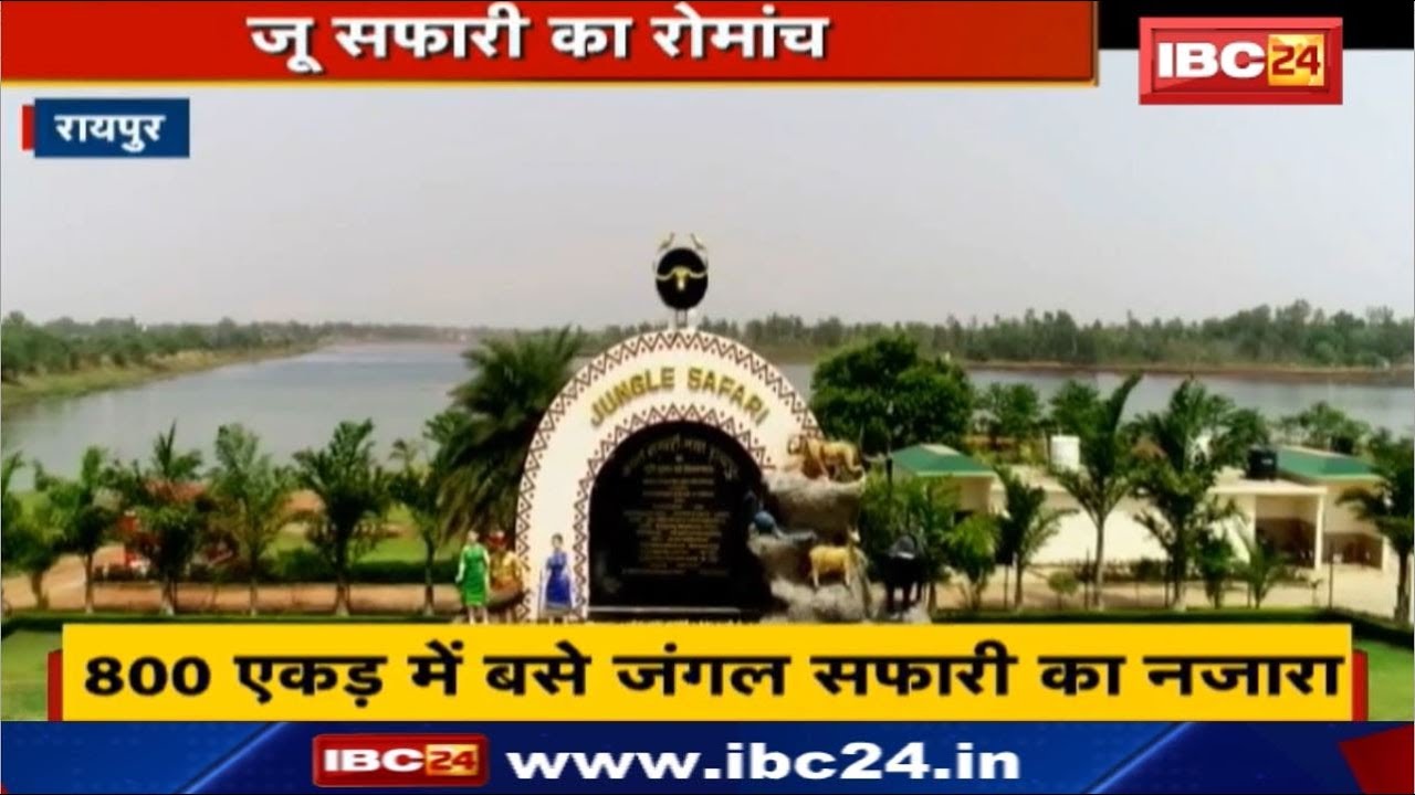 Jungle Safari Raipur | 800 एकड़ में बसे जंगल सफारी का रोमांच | जू सफारी में 11 बड़े बनकर तैयार