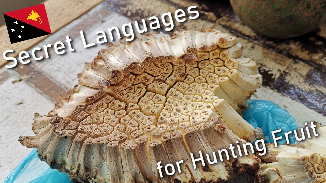 Karuka - Fruit Worth Changing Languages For  |  Plants of Papua New Guinea