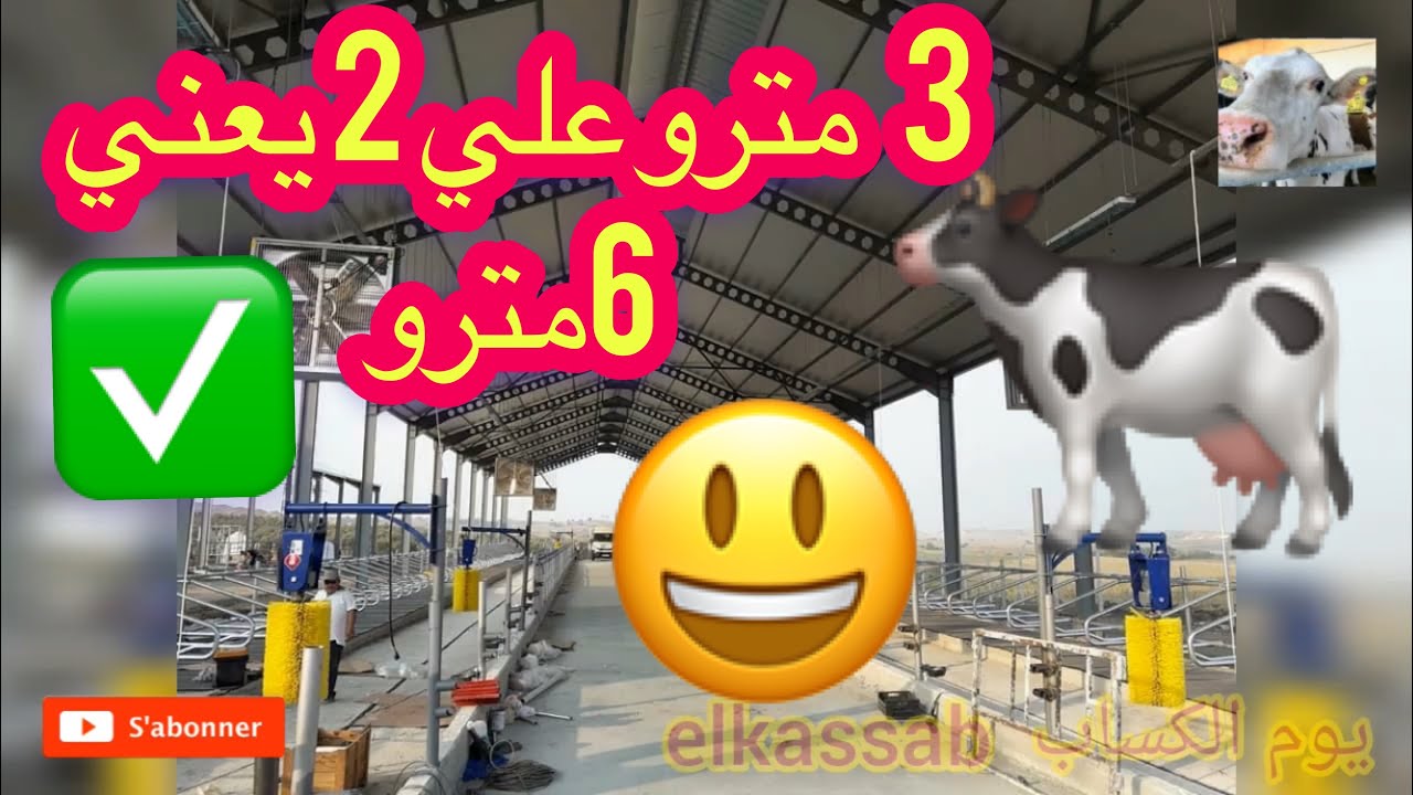 ✅أخر ما كاين فتربية 💯الابقار ؛ 🔔موصفات بناء الكوري أو الحضيرا لتربية الأبقار🐄 الحلوب بموصفات ✅عالية