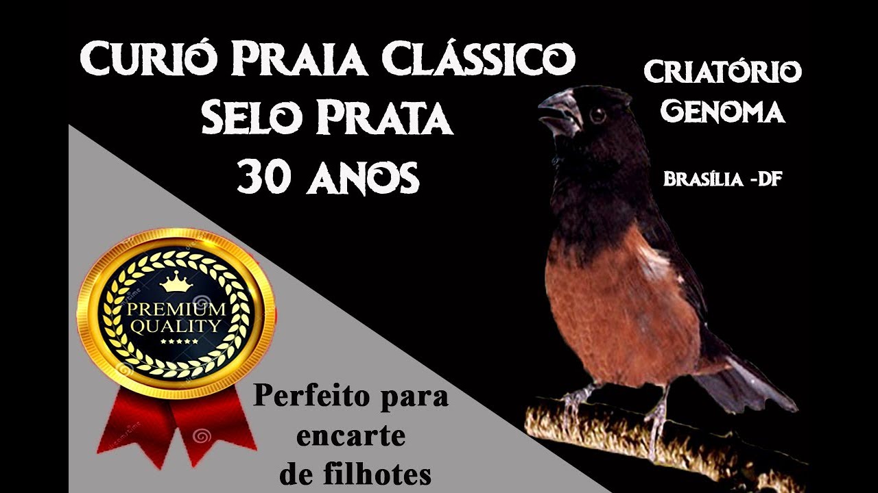 Praia Cl&aacute;ssico Selo Prata 30 anos Especial