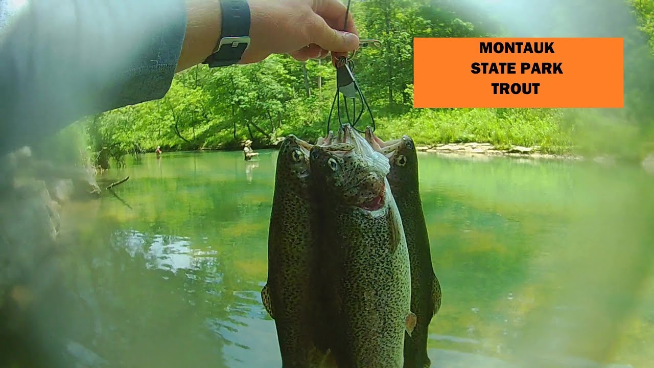 FLY FISHING | MONTAUK STATE PARK |