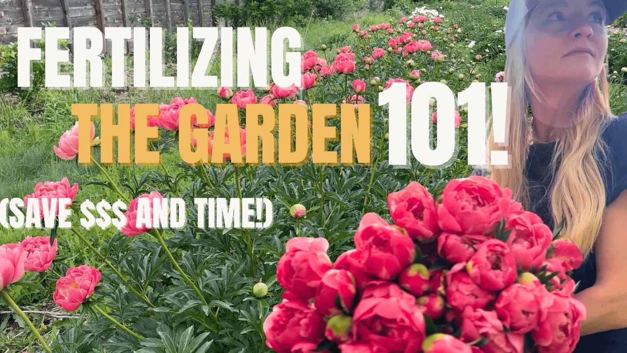 Garden fertilizing 101: save money and learn the basics!