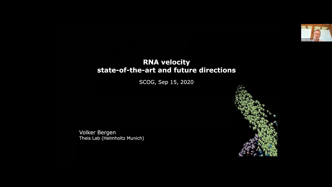 Temporal Single Cell Analysis 2020 - Volker Bergen (Helmholtz Munich)