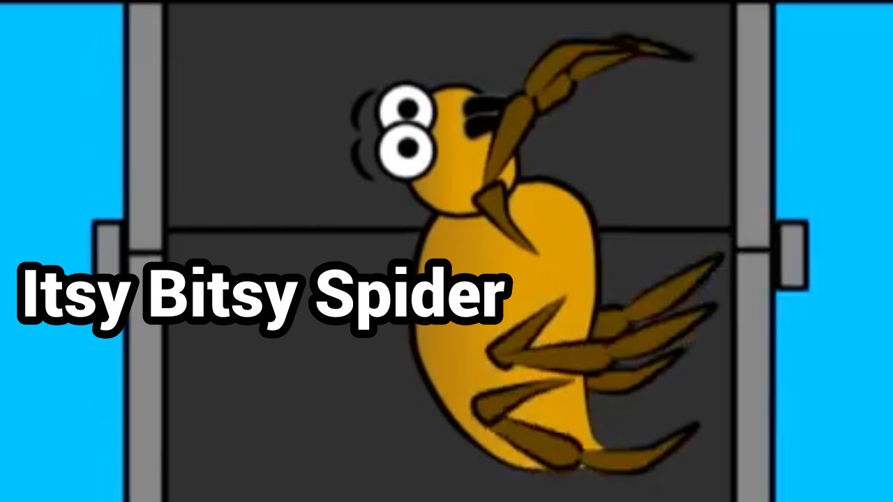 Itsy Bitsy Spider Song by the GoFish Guys