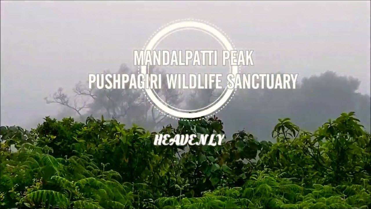 MANDALPATTI|PUSHPAGIRI WILDLIFE SANCTUARY