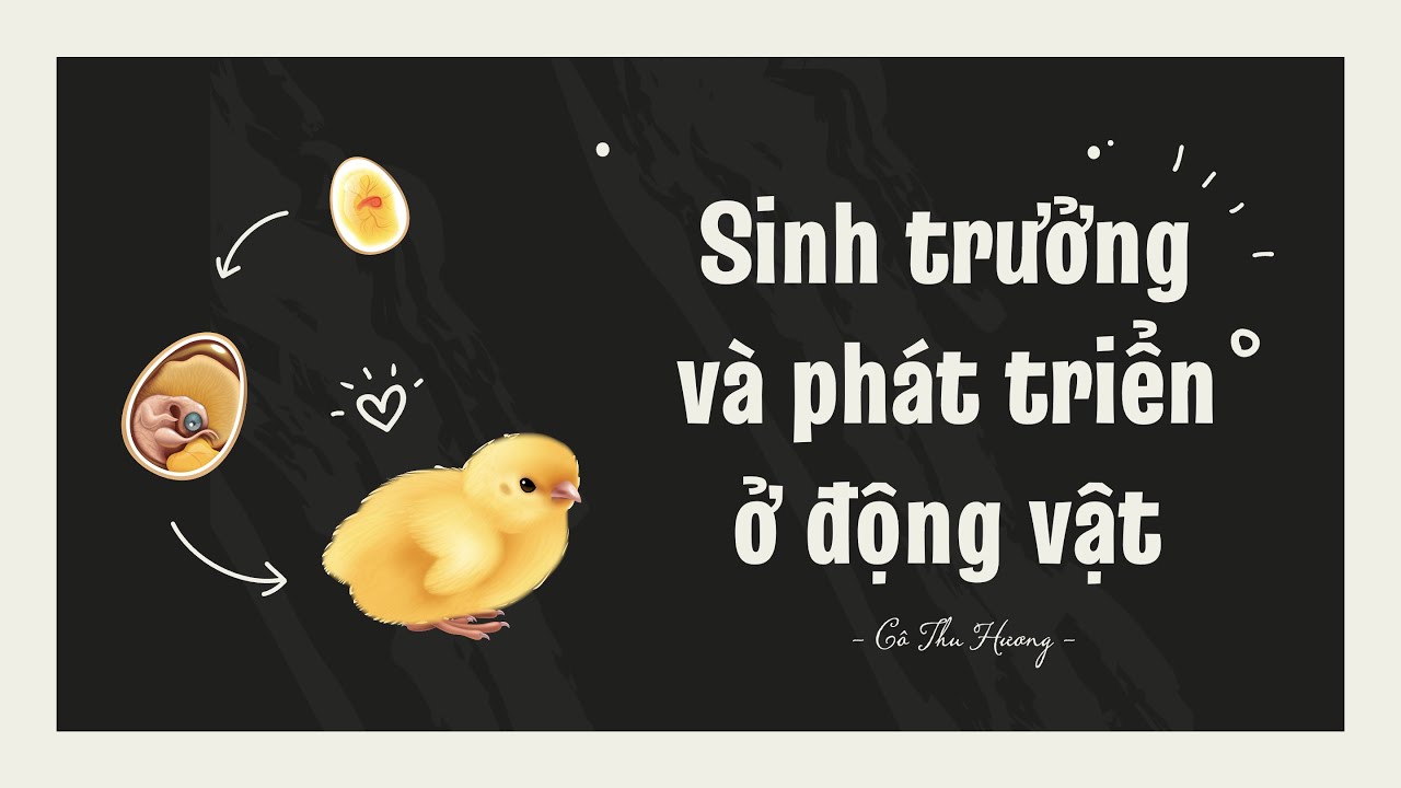 Sinh trưởng và phát triển ở động vật - Khoa học tự nhiên lớp 7 - Sách Cánh diều - OLM.VN