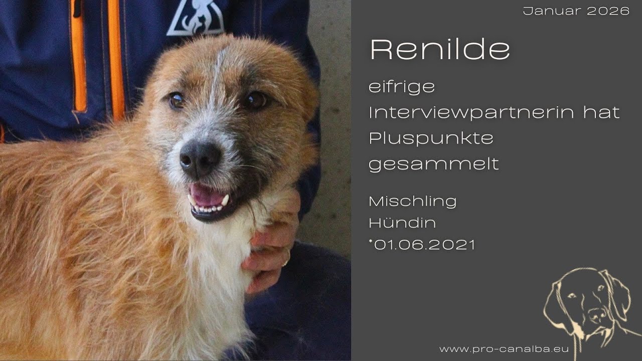 Renilde &ndash; eifrige Interviewpartnerin hat Pluspunkte gesammelt_Januar26