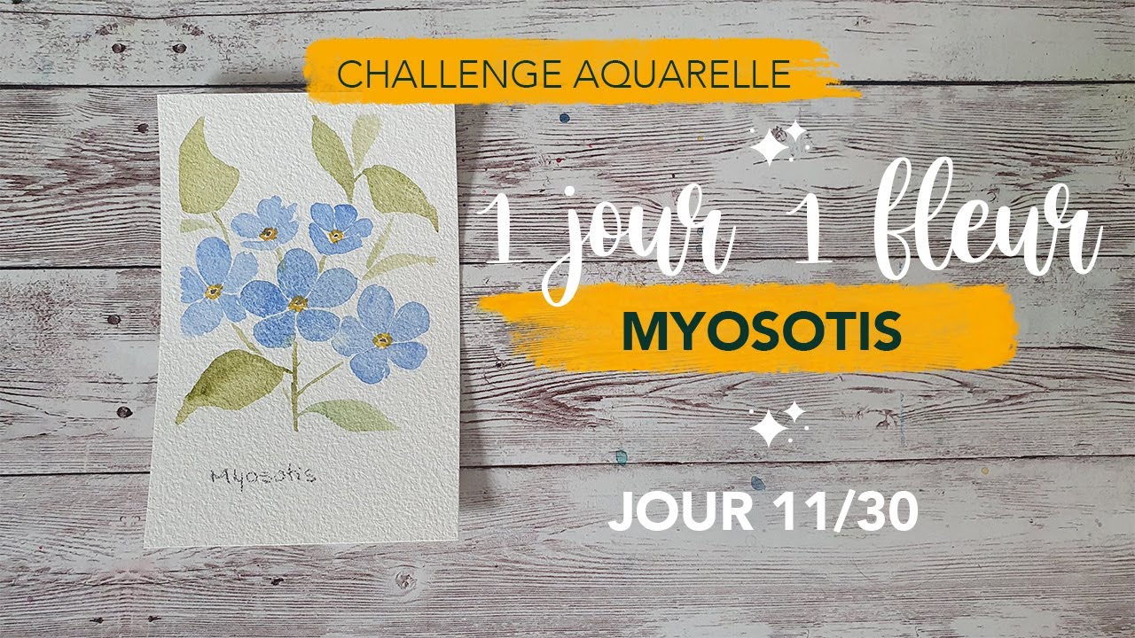 Challenge 1 jour 1 fleur - tuto aquarelle Myosotis - jour 11/30