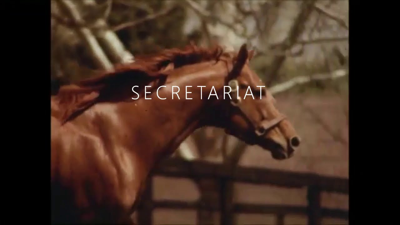 Who was the greatest racehorse to ever live?