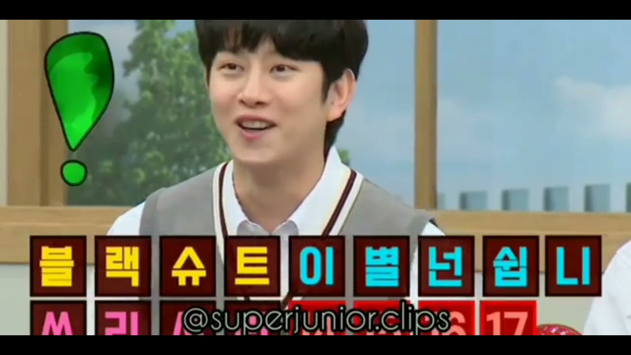 when they describe yesung
