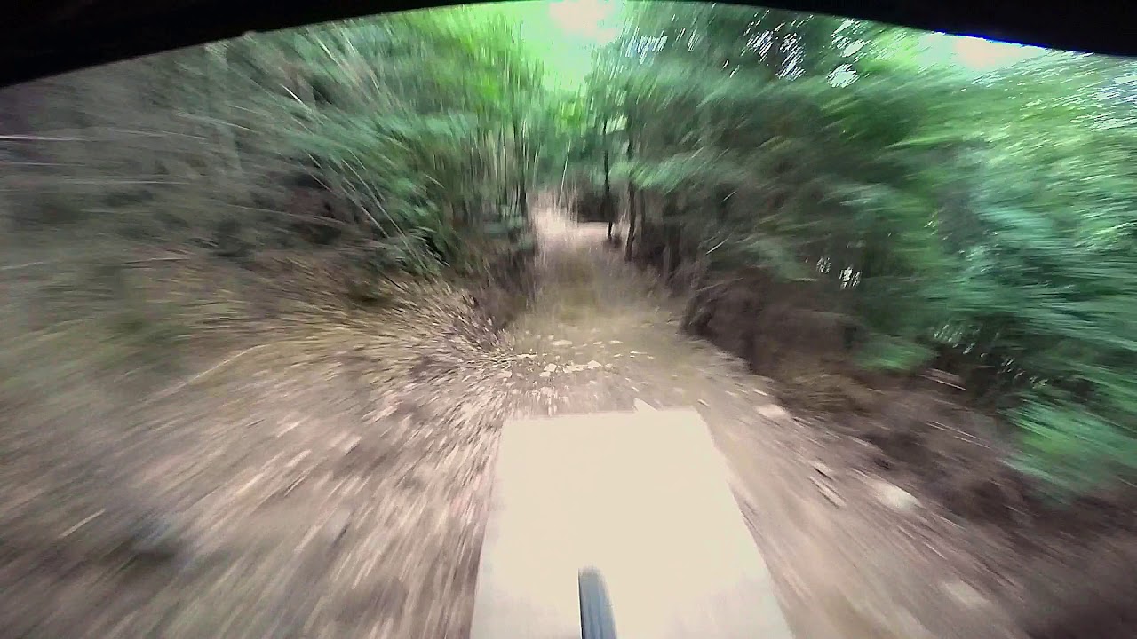 Motion Control vs. Chickadeehill