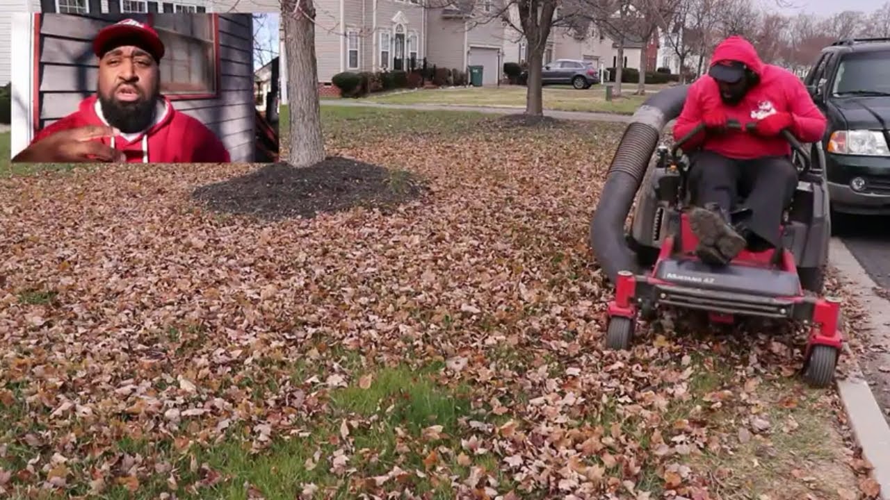How to Do A Leaf Clean Up - Start to Finish Guide