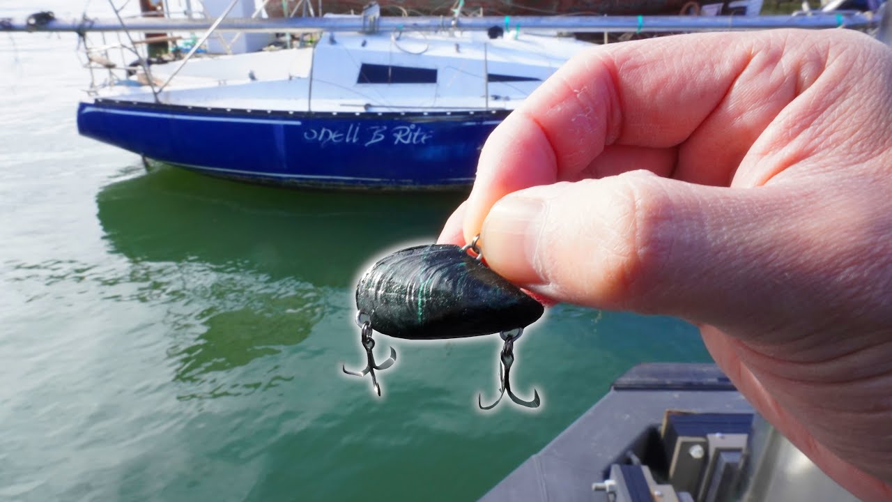 I Cast This Mussel Lure Off A Ferry Wharf!