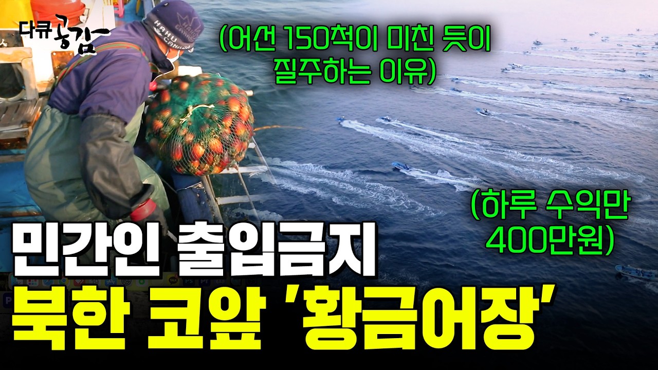 역대급 문어 떼 등장! 하루 수익 400만 원. 민간인 출입금지 40년... 북한 코앞 '황금어장'이 열렸다! [다큐공감] | KBS 150425