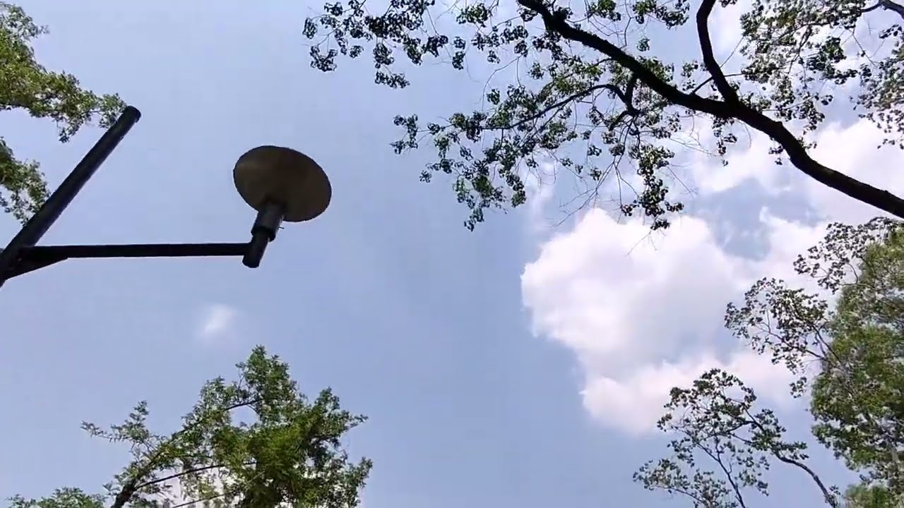 2022年5月：母と買い物へと行く道