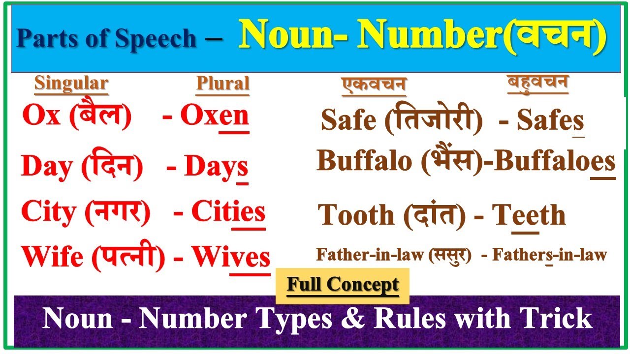 The Noun : Number | Singular and Plural Number in English | Noun Number in English | Number Rules