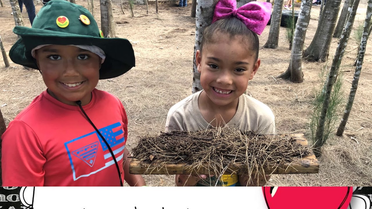 IDEA Weslaco 2019-2020