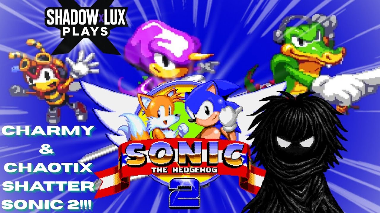 Charmy Bee SHATTERS Sonic 2 With The Boys