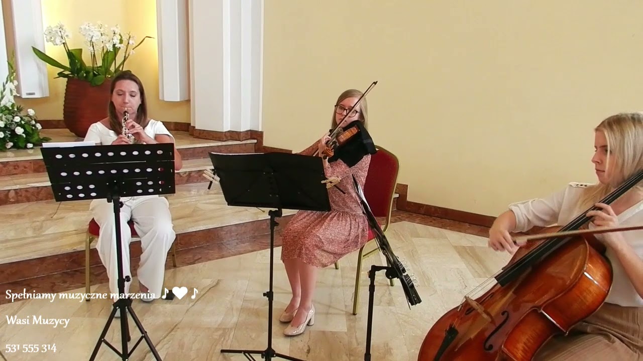 Aria na strunie G - Bach - trio: skrzypce, obój i wiolonczela - Wasi Muzycy ♪♥♪